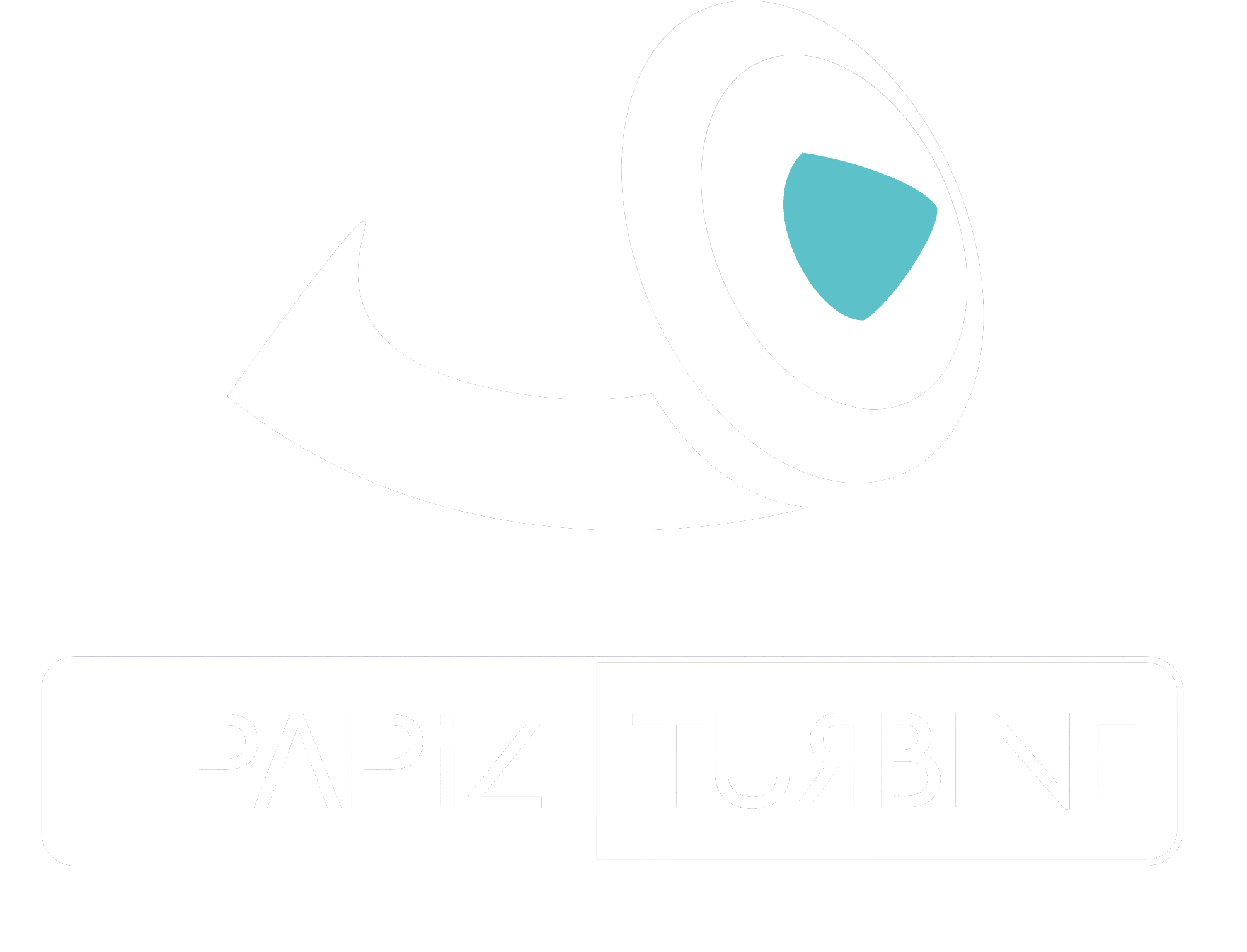PAPIZTURBINE 